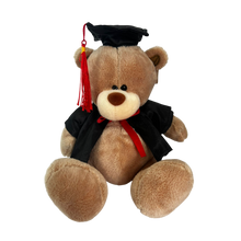 Cargar imagen en el visor de la galería, PELUCHE OSO GRADUADO - 20 CM - 1 UNID.
