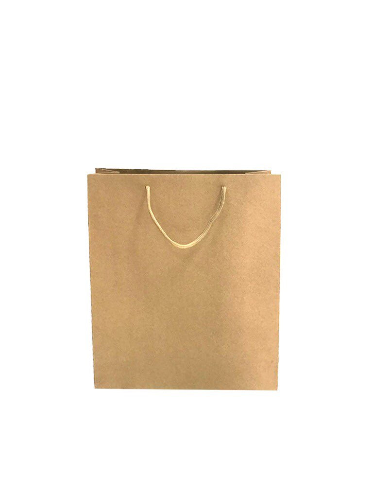BOLSAS KRAFT CON MANIJA 12 PIEZAS
