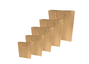 BOLSAS KRAFT CON MANIJA 12 PIEZAS